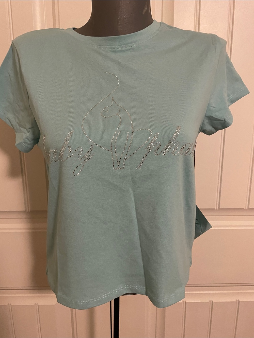 Embellished Light Aqua Short-Sleeve Tee with Crystal Script